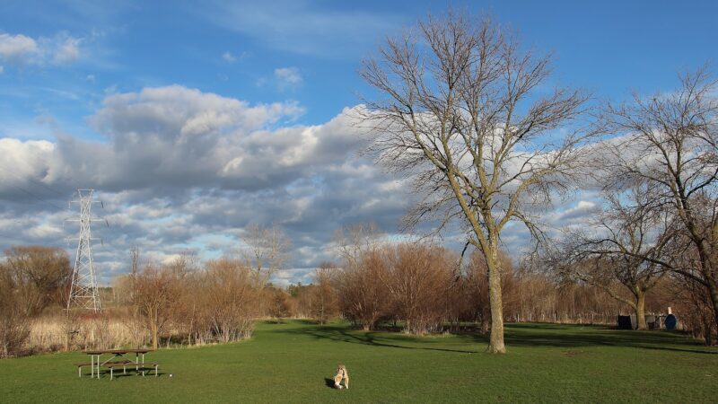 Dog park at Wayne’s Way & Shared Dr - Los Angeles, CA