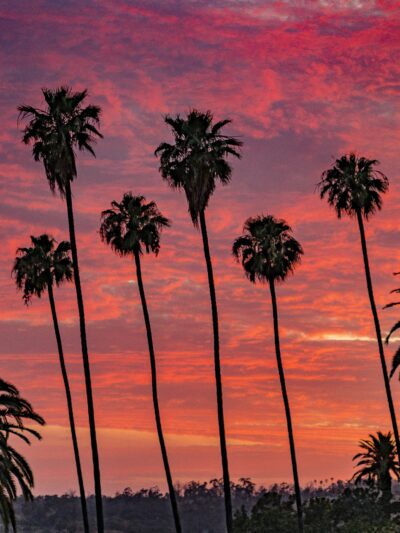 Ela Park - Los Angeles, CA