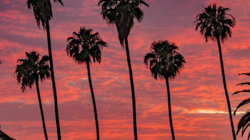 Ela Park - Los Angeles, CA