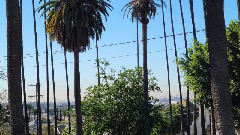 Ela Park - Los Angeles, CA