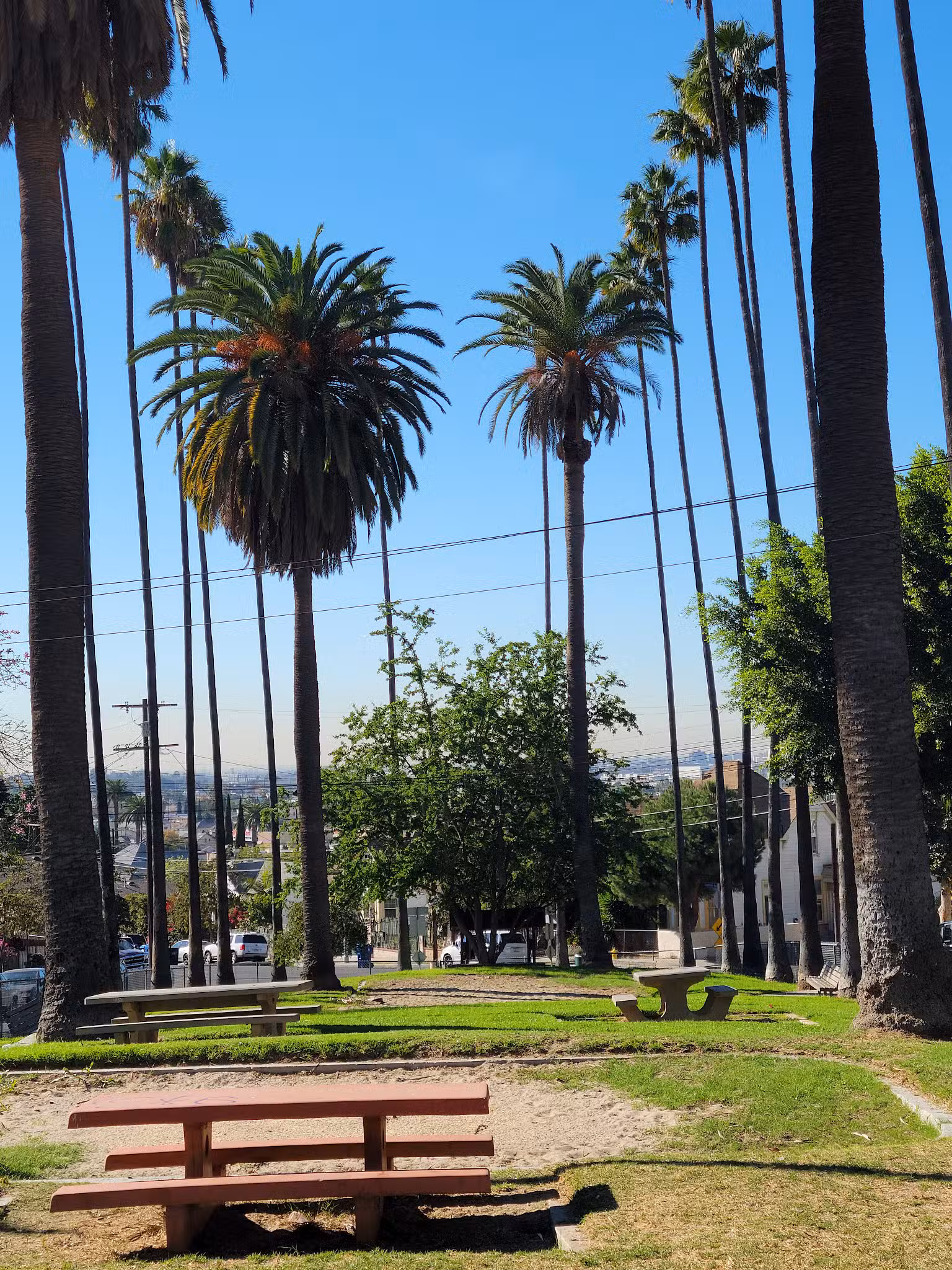 Ela Park - Los Angeles, CA