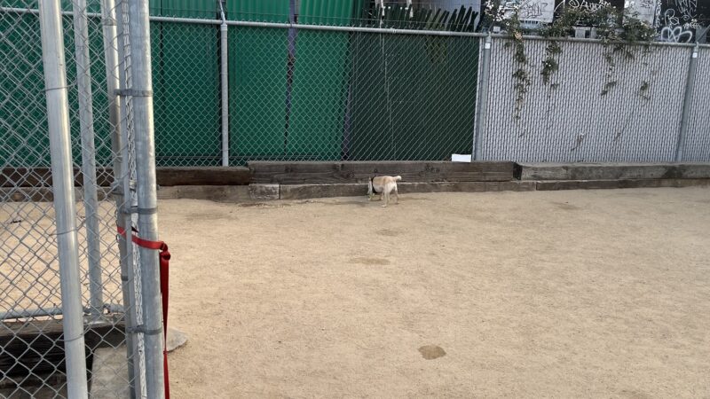 Factory Pl Dog Park - Los Angeles, CA