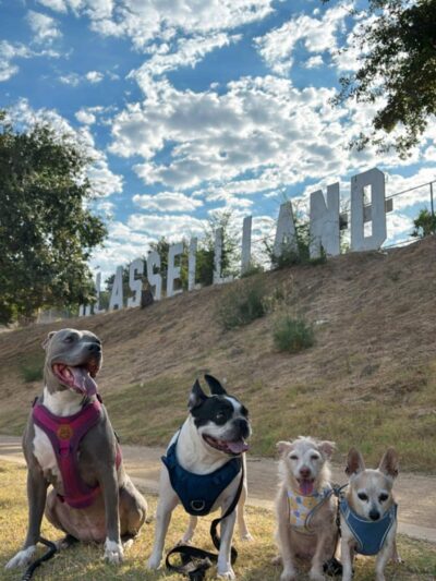 GLASSELL LAND - Los Angeles, CA