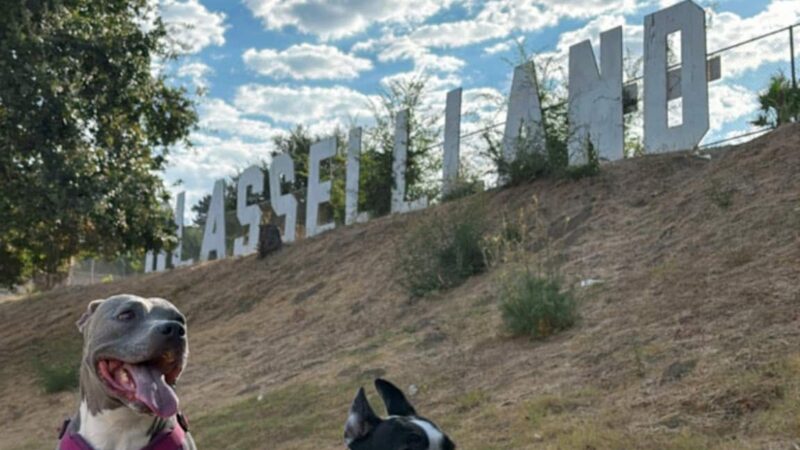 GLASSELL LAND - Los Angeles, CA