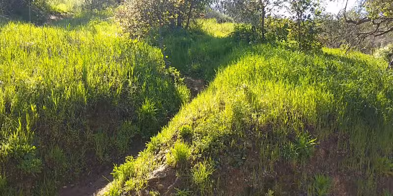 Griffith Park - Los Angeles, CA