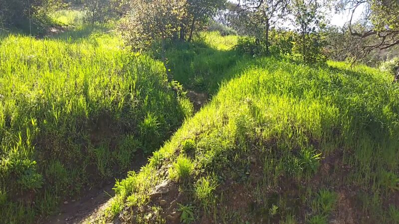 Griffith Park - Los Angeles, CA