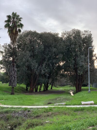 Hazard Recreation Center - Los Angeles, CA