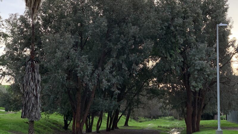 Hazard Recreation Center - Los Angeles, CA
