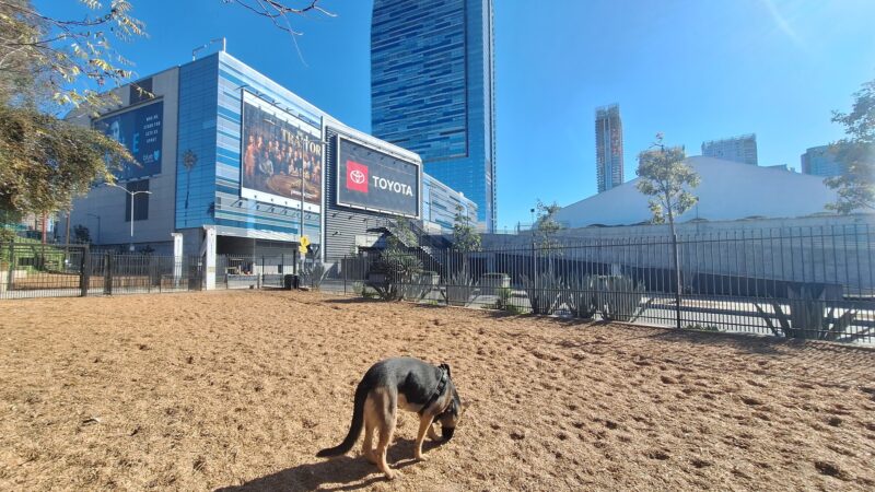 L.A. Live Large Dogs Park - Los Angeles, CA