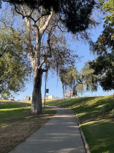 Ladera Park - Los Angeles, CA