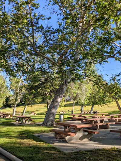 Ladera Park - Los Angeles, CA