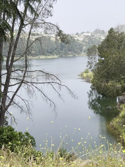 Lake Hollywood Reservoir Walking Trail - Los Angeles, CA