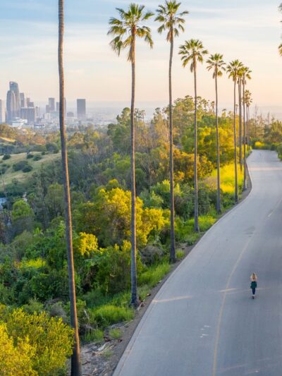 Los Angeles - Los Angeles, CA
