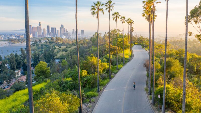 Los Angeles - Los Angeles, CA
