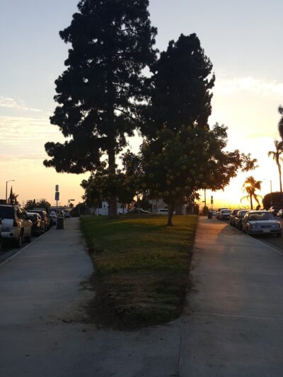 Mascot Park - Los Angeles, CA