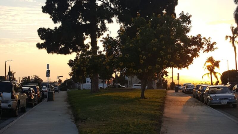 Mascot Park - Los Angeles, CA