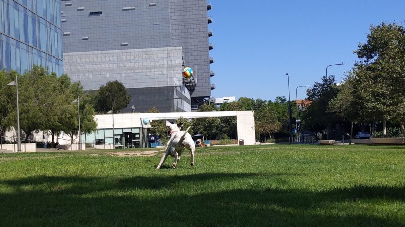 Plaza de California - Los Angeles, CA