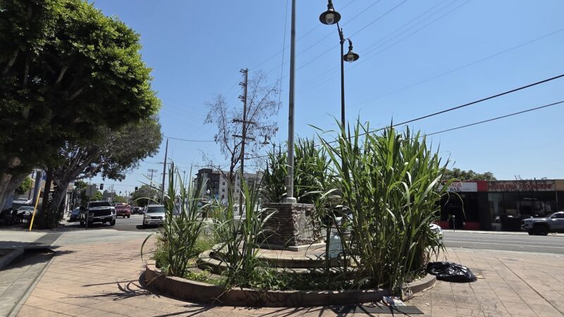 Ross Valencia Community Park - Los Angeles, CA