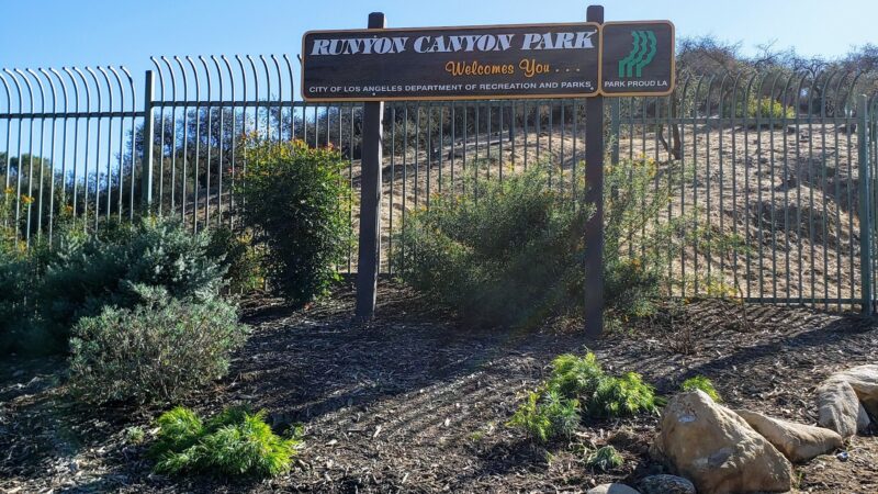 Runyon Canyon Park - Los Angeles, CA
