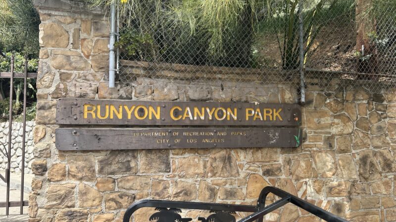 Runyon Canyon Park - Los Angeles, CA