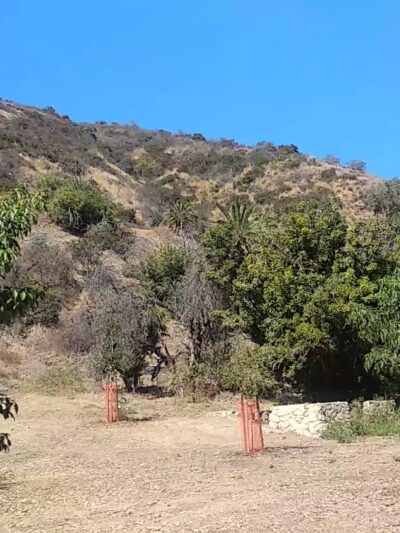 Runyon Canyon Park - Los Angeles, CA