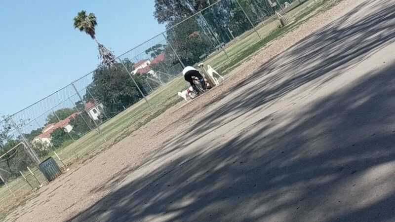 Veterans Barrington Park - Los Angeles, CA