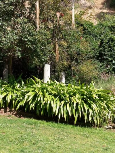 Wattles Garden Park - Los Angeles, CA