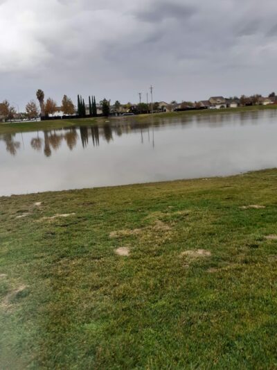 VINEYARD C PARK - Los Banos, CA