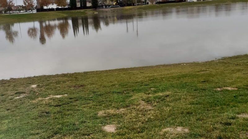 VINEYARD C PARK - Los Banos, CA