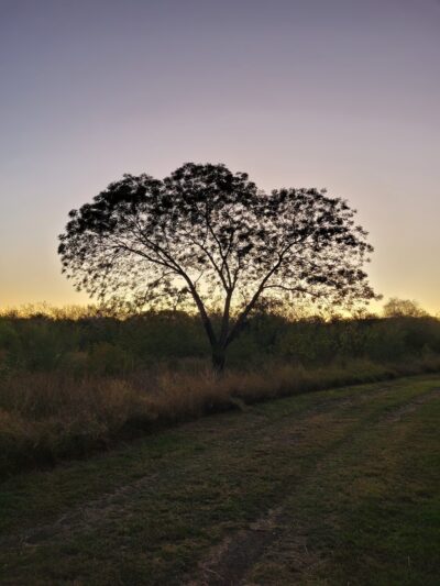 Los Fresnos Nature Park & Caracara Hike & Bike Trail - Los Fresnos, TX