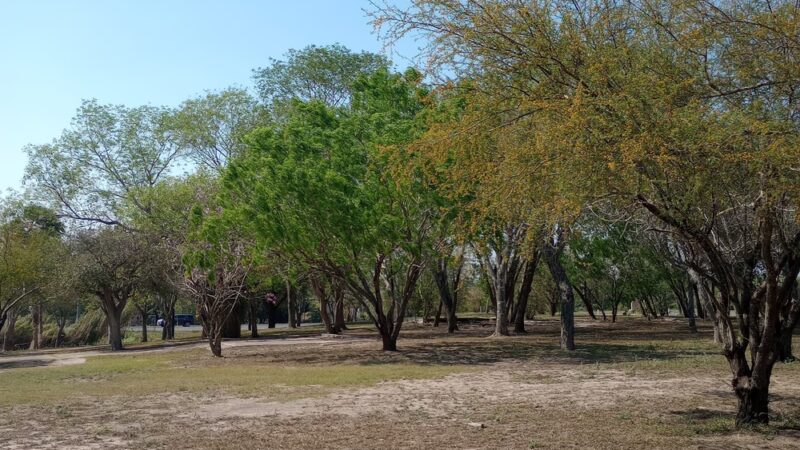 Los Fresnos Nature Park & Caracara Hike & Bike Trail - Los Fresnos, TX