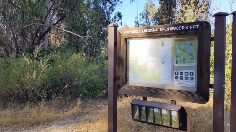 Jones Trail - Los Gatos, CA