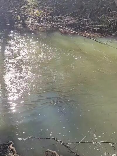 Trail Head For Jones Trail - Los Gatos, CA