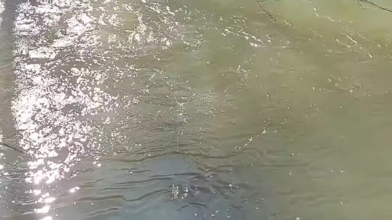 Trail Head For Jones Trail - Los Gatos, CA