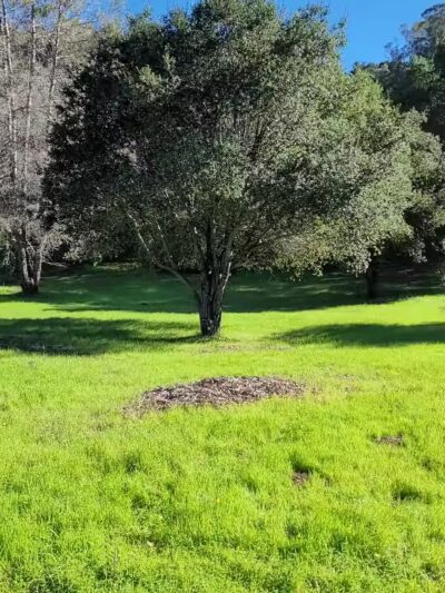 Trail Head For Jones Trail - Los Gatos, CA