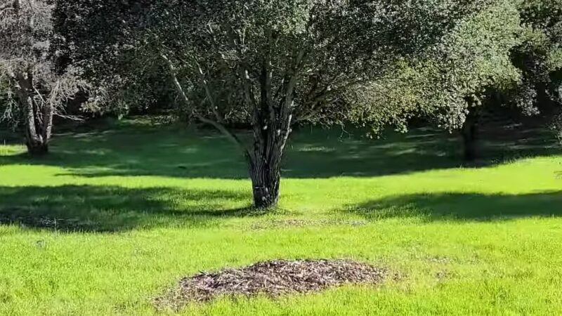 Trail Head For Jones Trail - Los Gatos, CA