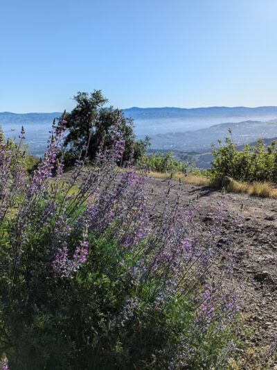 Kennedy Road Sierra Azul Trailhead - Los Gatos, CA