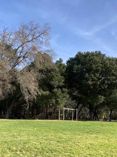 La Rinconada Park - Los Gatos, CA