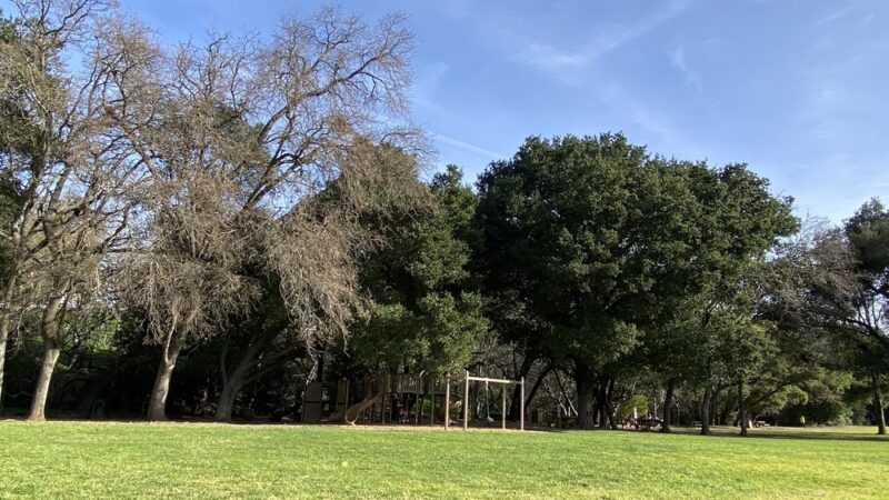 La Rinconada Park - Los Gatos, CA