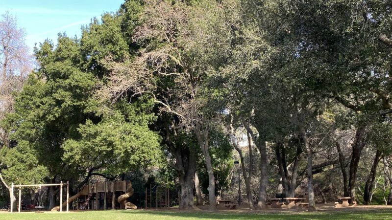 La Rinconada Park - Los Gatos, CA
