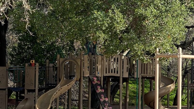 La Rinconada Park - Los Gatos, CA