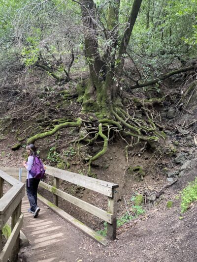 Trailhead, Lexington Dam Loop - Los Gatos, CA
