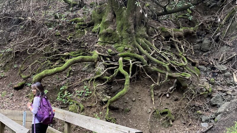 Trailhead, Lexington Dam Loop - Los Gatos, CA
