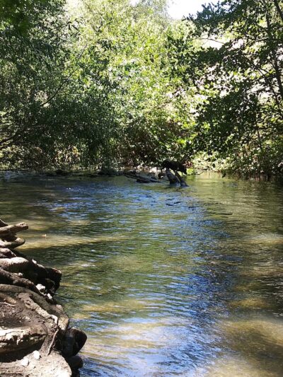 Trailhead, Lexington Dam Loop - Los Gatos, CA