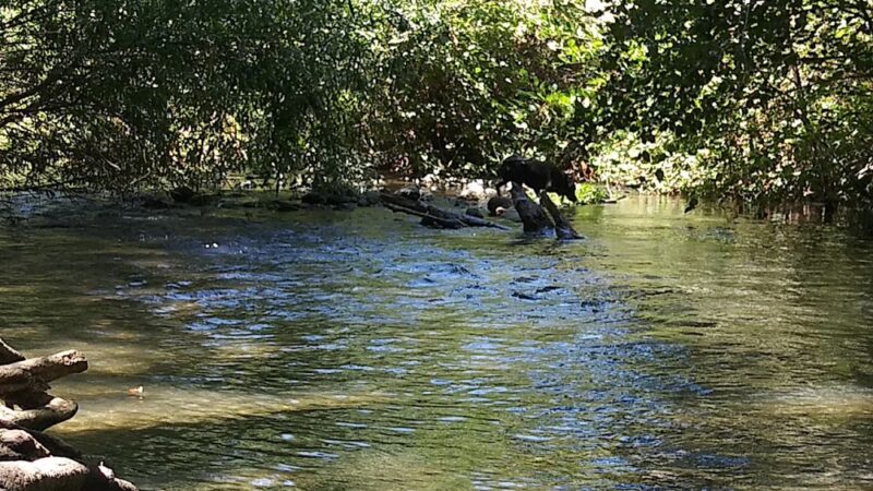 Trailhead, Lexington Dam Loop - Los Gatos, CA