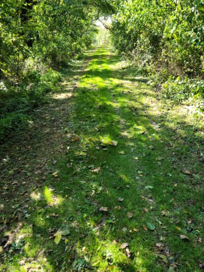 Gilroy Rustic Park - Lost Nation, IA
