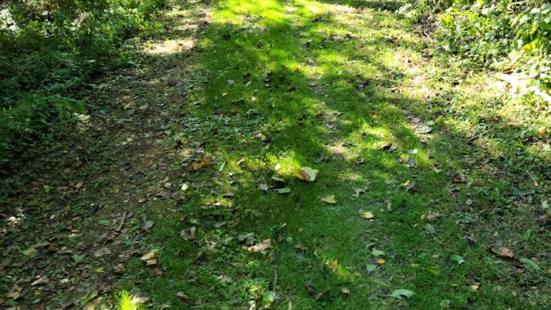 Gilroy Rustic Park - Lost Nation, IA