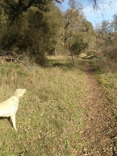 Gerle Loop Trail - Lotus, CA
