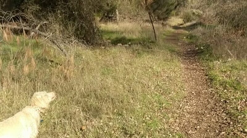 Gerle Loop Trail - Lotus, CA