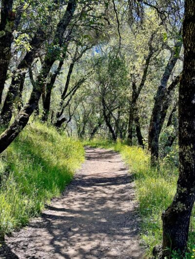 Gerle Loop Trail - Lotus, CA